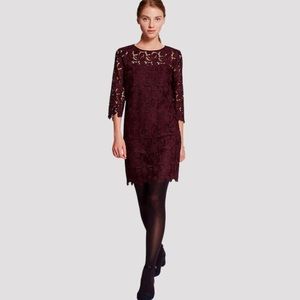 Loft 3/4 sleeve Plum lined lace dress 6 EUC